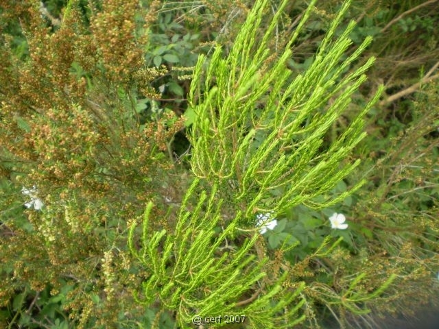 2007 05 Séjour en Brenne 091